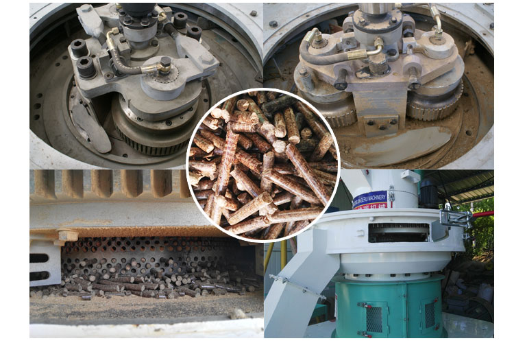 內部結構及午夜美女福利视频圖