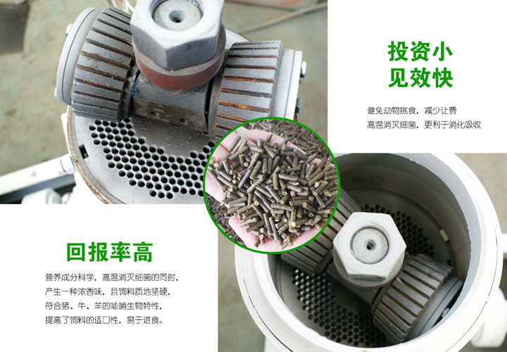 顆粒大小展示 顆粒大小展示