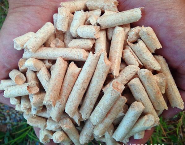 生物質燃料午夜美女福利视频械