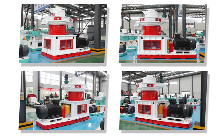 木屑午夜美女福利视频 木屑午夜美女福利视频