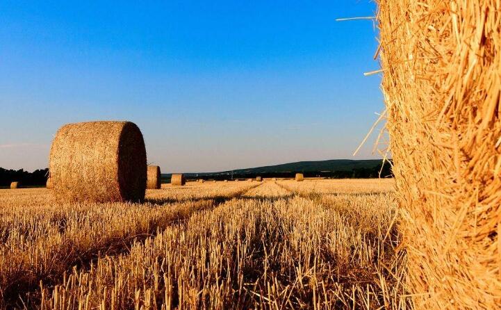 午夜美女福利视频2019秸稈綜合利用