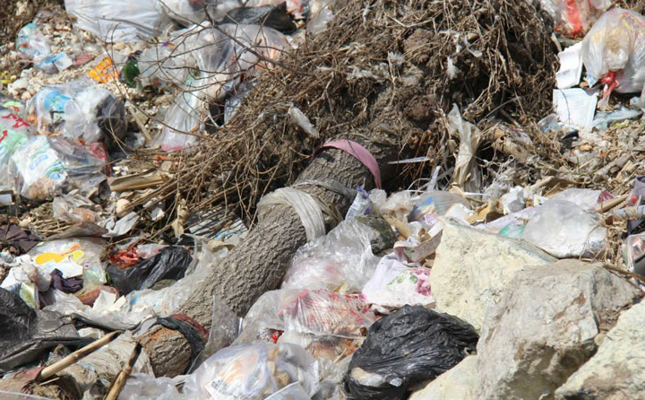 農村生活垃圾循環再利用 生物質午夜美女福利视频械