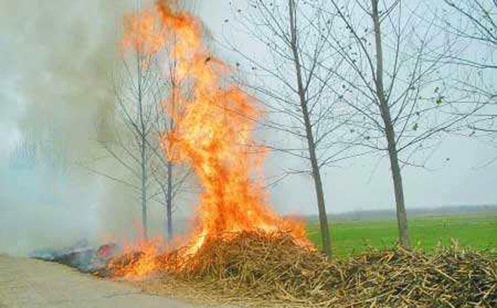 秸稈路邊焚燒 生物質午夜美女福利视频械