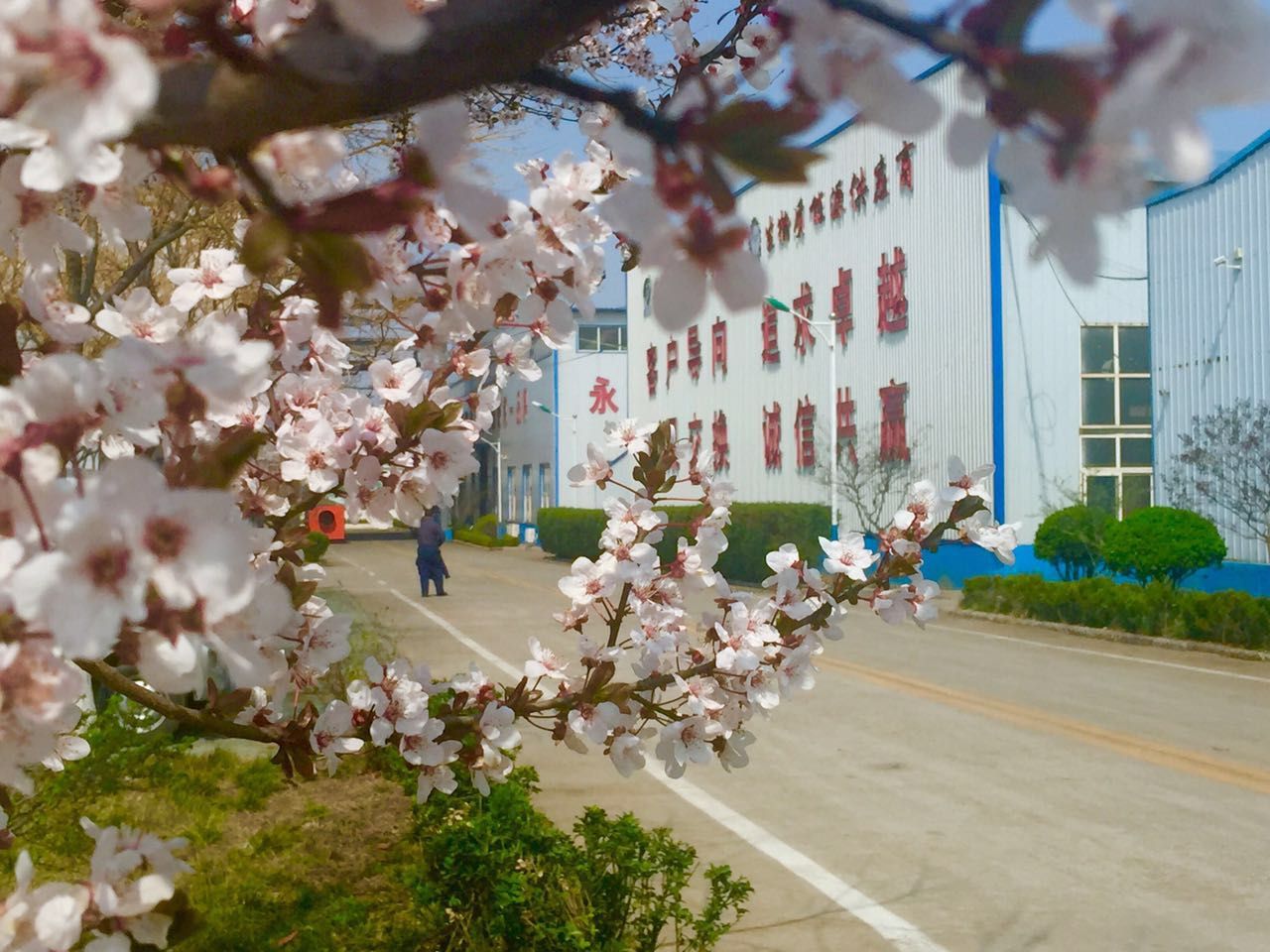 午夜福利久久午夜美女福利视频廠家 生物質午夜美女福利视频械