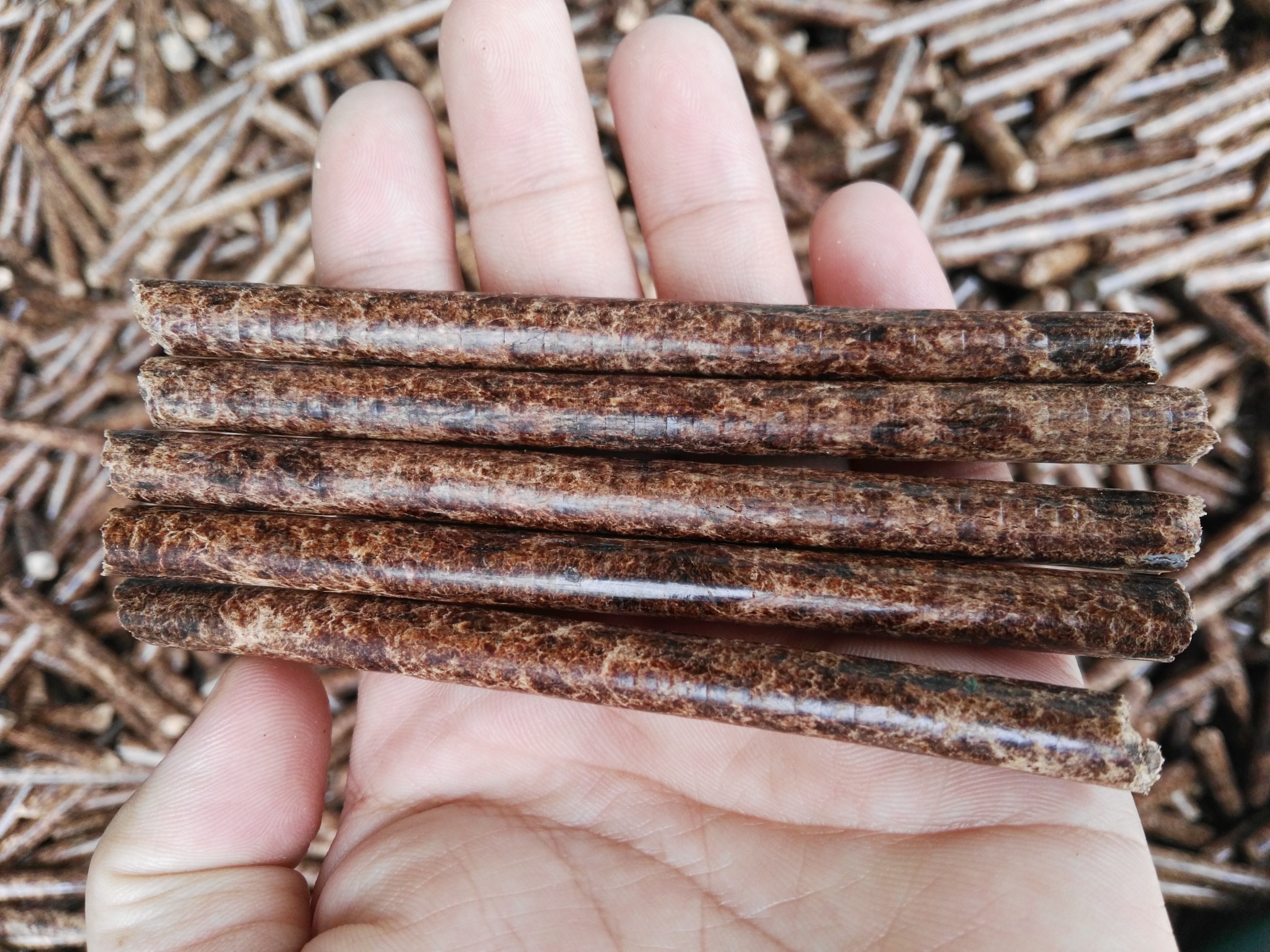 生物質顆粒 生物質午夜美女福利视频械