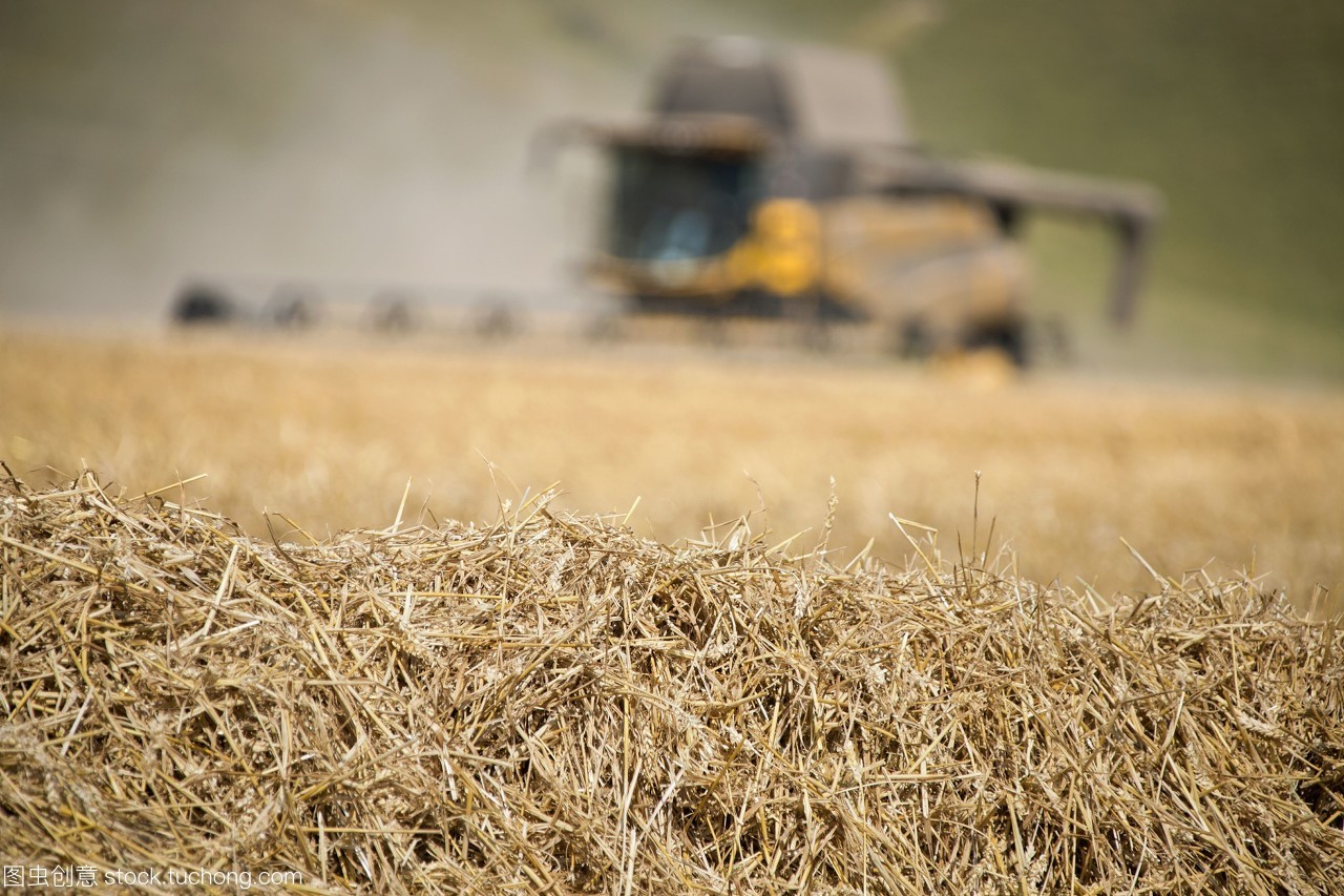 秸稈資源豐富 生物質午夜美女福利视频械