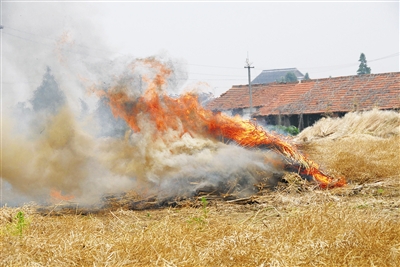 生物質午夜美女福利视频械