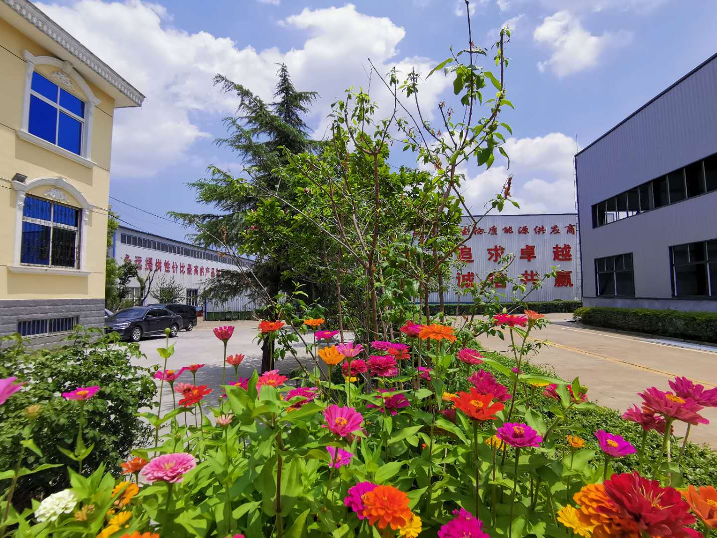 山東木屑午夜美女福利视频廠家 山東木屑午夜美女福利视频廠家