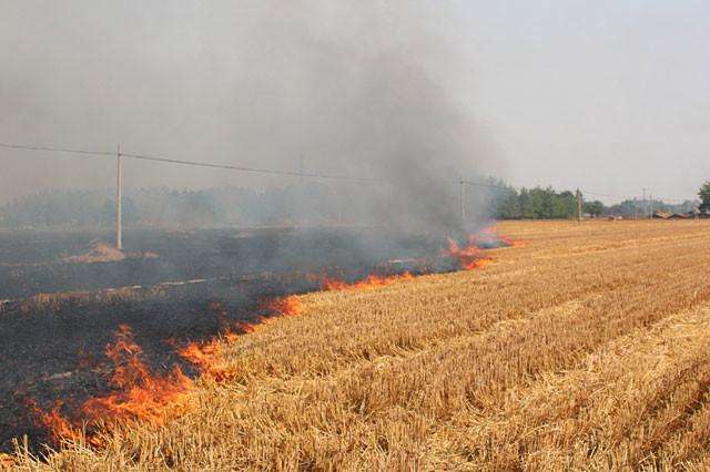 秸稈焚燒 秸稈焚燒