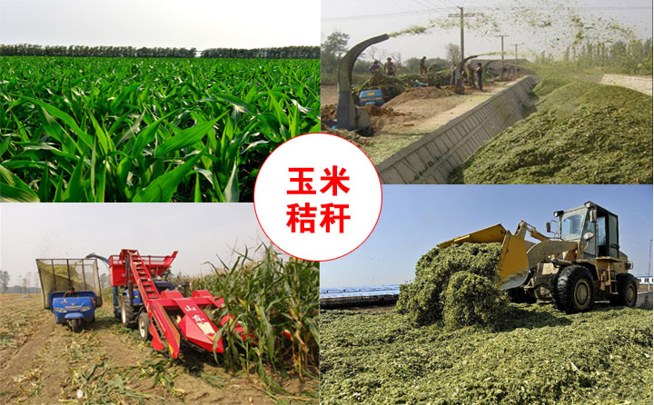 廢棄物秸稈綜合利用 廢棄物秸稈綜合利用