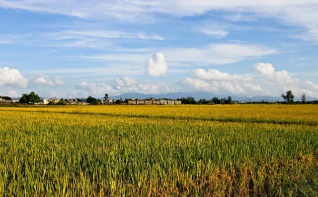 生物質午夜美女福利视频械