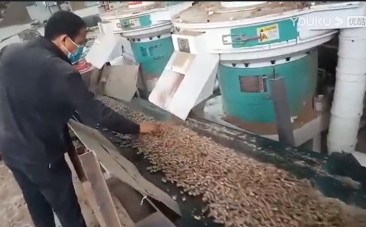 山西張總檢查午夜美女福利视频製粒情況