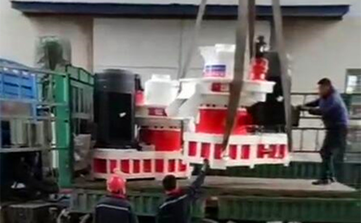 鄭州生物質午夜美女福利视频發貨中