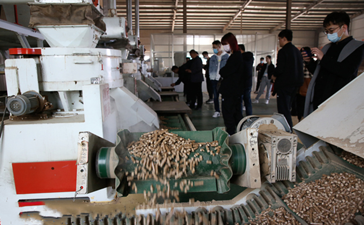 生物質燃料午夜美女福利视频顆粒燃料的加工車間 生物質燃料午夜美女福利视频顆粒燃料的加工車間