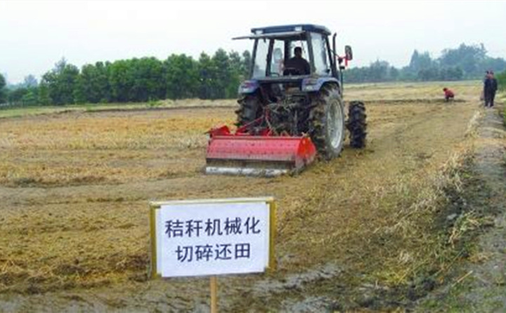 秸稈還田讓“地越種越肥、產值越來越高”