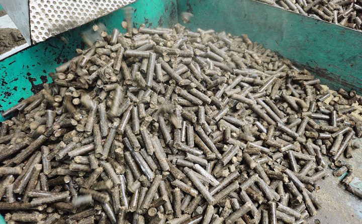 生物質午夜美女福利视频燃料顆粒