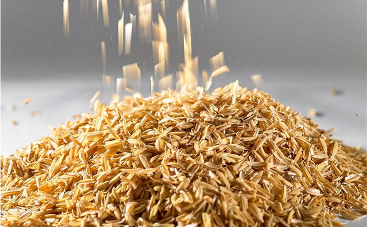 我，是廣東生物質燃料公司料場裏的一個普通稻殼