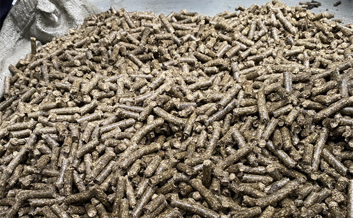 生物質燃料午夜美女福利视频的燃料顆粒