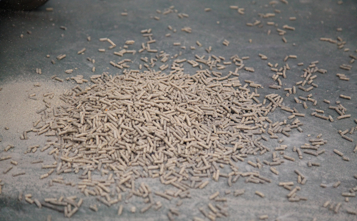 稻殼製粒機生物質顆粒 稻殼製粒機生物質顆粒