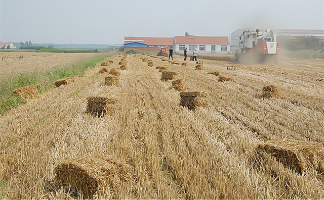 生物質作為一種含碳、固體形態的可再生能源，其熱轉化利用技術、設備與煤炭具有相似性，且生物質氮、硫含量低，汙染物排放要遠低於燃煤。因此，大力發展生物質燃料鍋爐將有助於緩解燃煤帶來的環境汙染問題