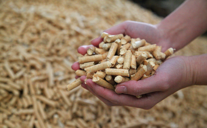 生物質燃料午夜美女福利视频生產的顆粒燃料 生物質燃料午夜美女福利视频生產的顆粒燃料