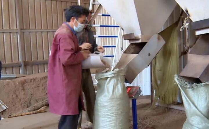 生物質顆粒它主要的生產成分，是拿農戶的秸稈、菊花杆和這些玉米骨頭、建築紅板、還有烤煙杆這些，午夜美女福利视频壓製（後）生產出來的