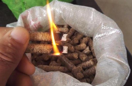 生物質午夜美女福利视频的顆粒燃料