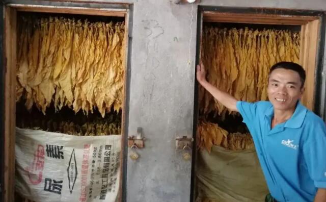 生物質午夜美女福利视频顆粒燃料烤煙 生物質午夜美女福利视频顆粒燃料烤煙