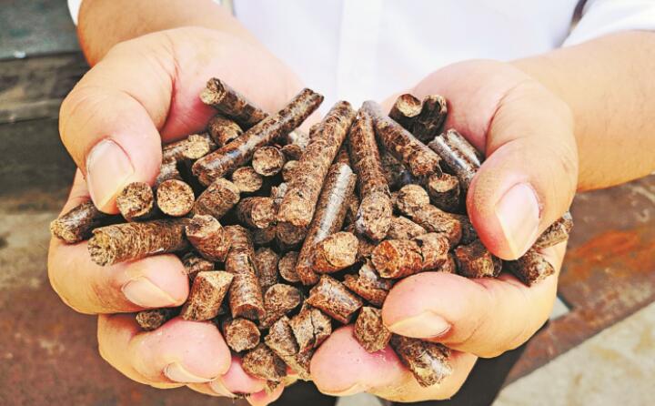 生物質午夜美女福利视频生物能源項目