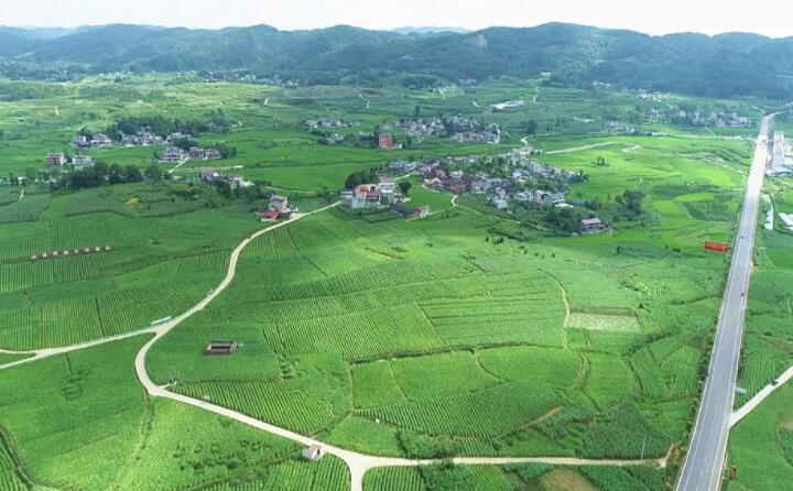 福泉：生物質顆粒智能化烘烤 助力烤煙產業提質增效