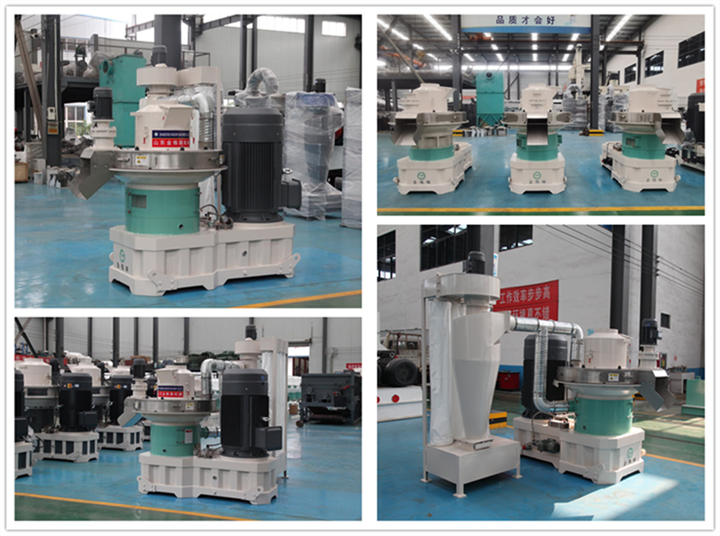 河北生物質午夜美女福利视频