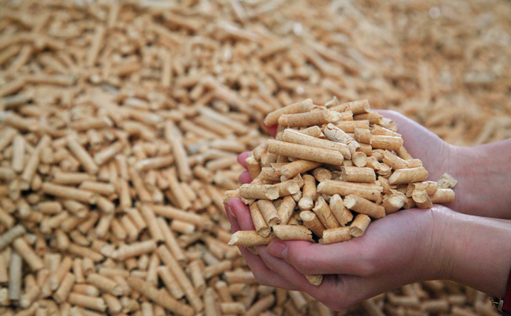 生物質顆粒燃料 生物質顆粒燃料