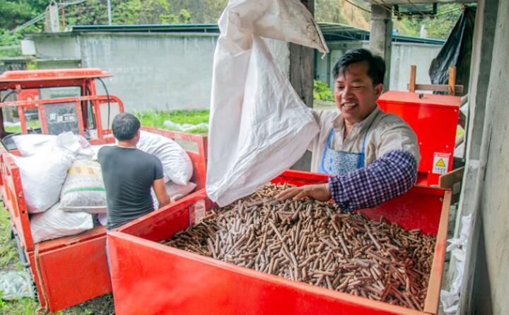 生物質午夜美女福利视频加工的生物質顆粒燃料 生物質午夜美女福利视频加工的生物質顆粒燃料