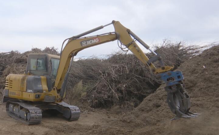 甘肅榆林子鎮：農業“垃圾”再利用農林廢料變廢為寶