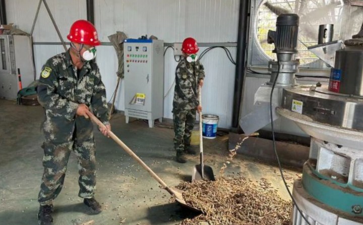 黑龍江鶴立林業局：生物質顆粒產業點燃綠色發展新引擎