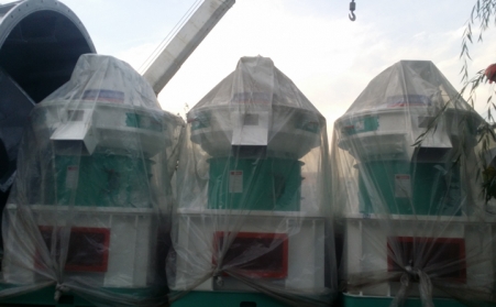 11.3生物質午夜美女福利视频發貨直播