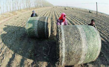 生物質午夜美女福利视频設備從不挑食！