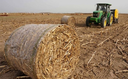生物質午夜美女福利视频的發展大前景，你知道嗎？