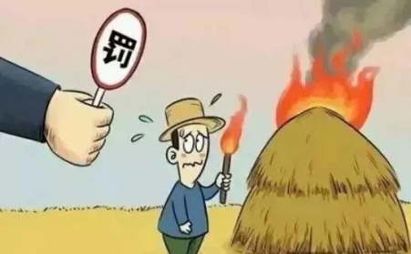 秸稈禁燒怎麽辦？秸稈午夜美女福利视频幫您變廢為寶！