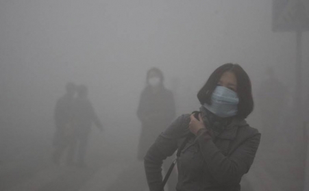 玉米秸稈午夜美女福利视频如何使秸稈變“寶貝”？