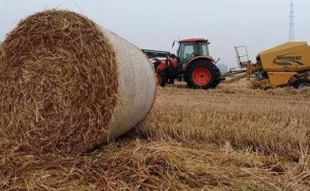 秸稈午夜美女福利视频為發展生物質能源奠定基礎