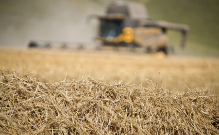 看這裏！了解木屑午夜美女福利视频如何利用廢棄物
