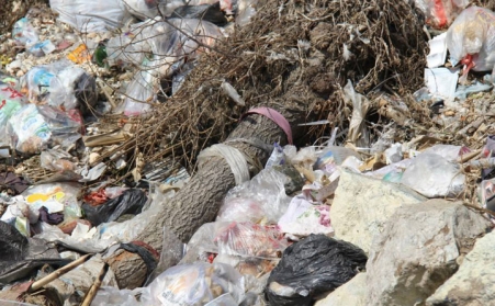 秸稈午夜美女福利视频的發展造福農民