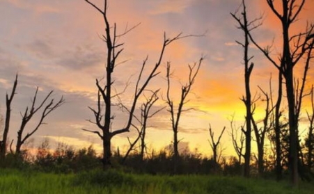 河北鋸末午夜美女福利视频的社會意義