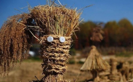 生物質燃料午夜美女福利视频型號的區別及特點