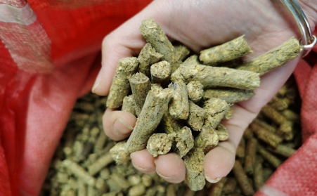 什麽是生物質燃料午夜美女福利视频顆粒？農村為什麽都在用生物質顆粒？