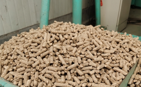 2021陽信清潔取暖1萬多戶全部使用生物質午夜美女福利视频的燃料顆粒