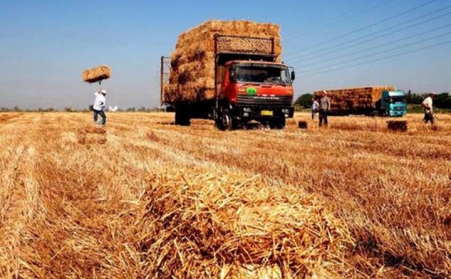 雲南紅河一家煙農合作社的綠色發展“經”