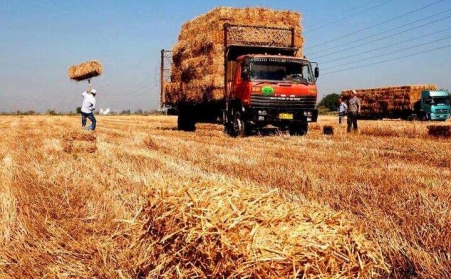 生物質發電：秸稈變燃料 環保又增收