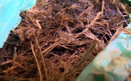 雲南丘北力爭2025年農作物秸稈綜合利用率達到90%以上